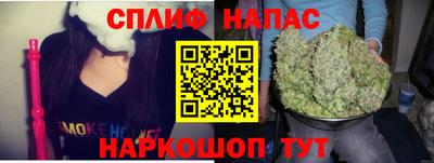 крисы Славянск-на-Кубани