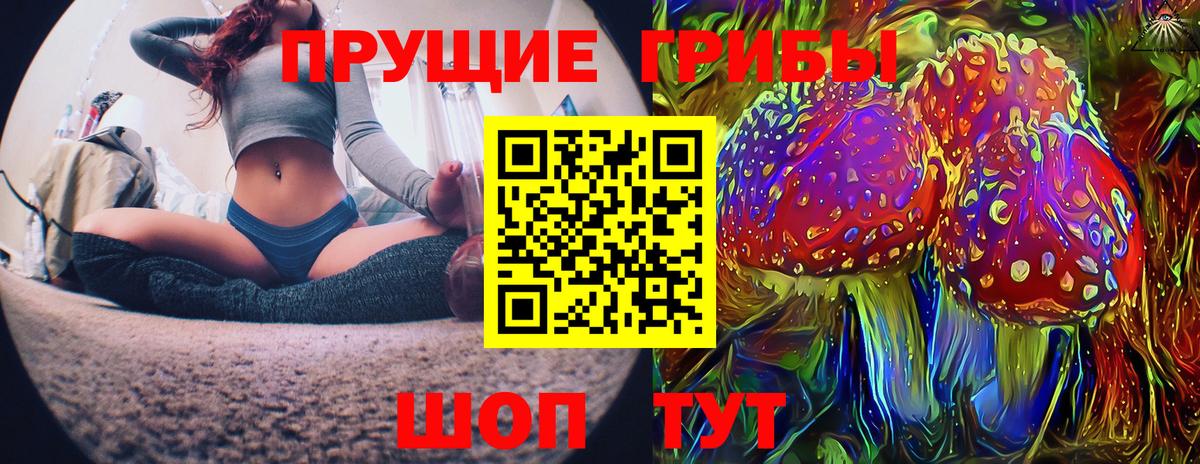 Псилоцибиновые грибы Magic Shrooms  Вход с VPN  где продают   Омск  Галлюциногенные грибы Psilocybine cubensis 