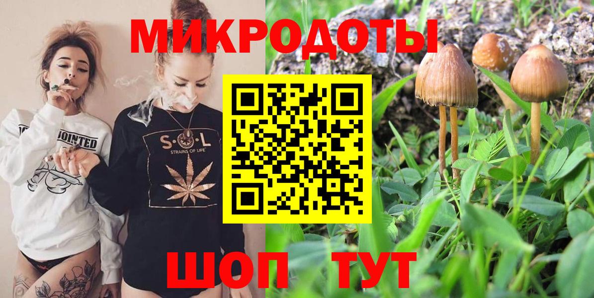 Псилоцибиновые грибы GOLDEN TEACHER Омск